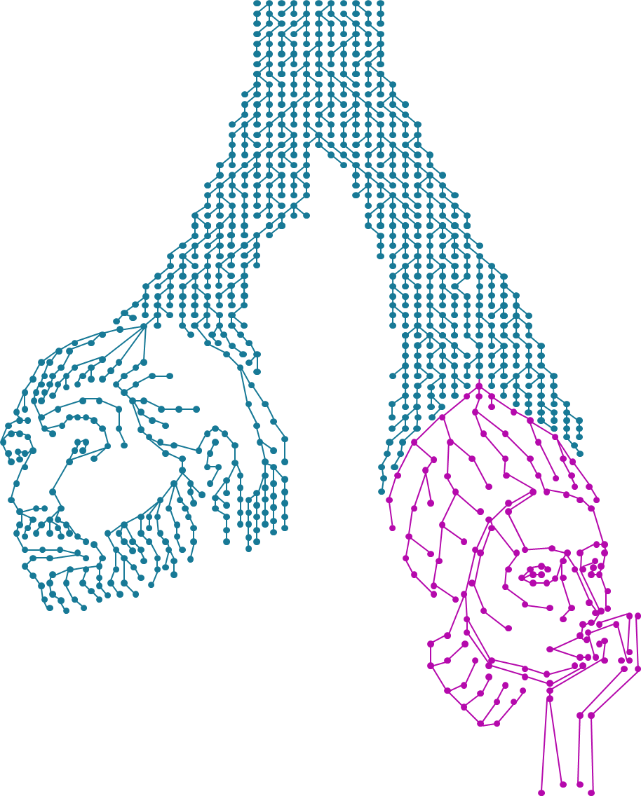 Lab_image.png